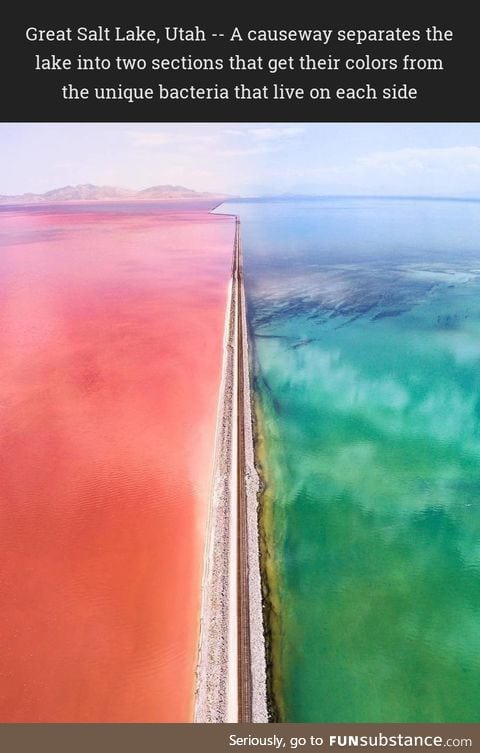 Great Salt Lake, Utah -- A causeway separates the lake into two sections