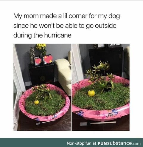 Like outdoor corner for the dog