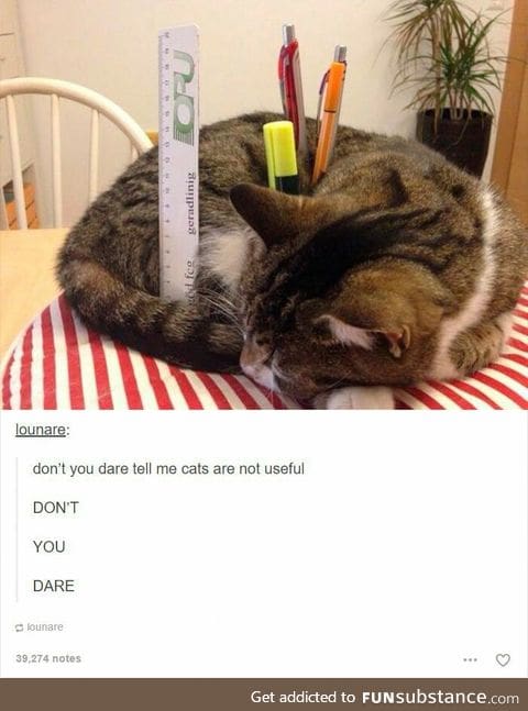 If I did that, my cat would give me the 'what the hell, man' glare