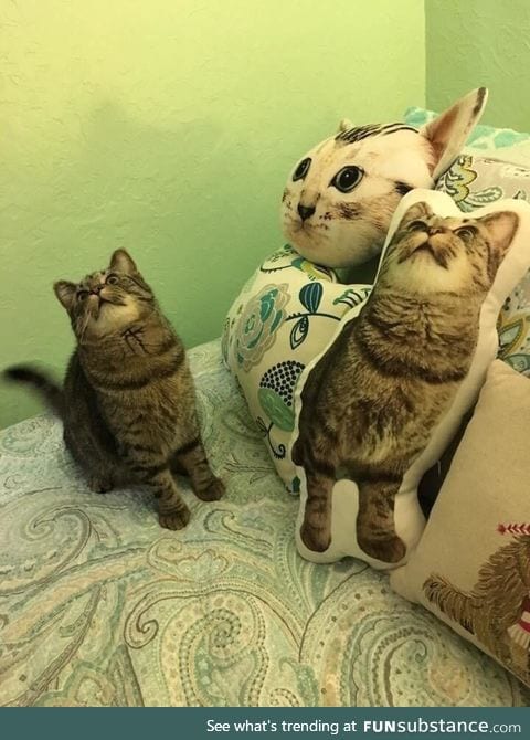 come on.. rly human? rly?! whats that??