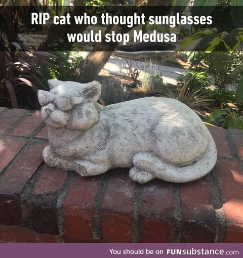 Rip cat
