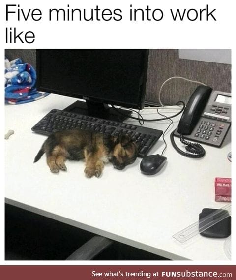 I'll allow it