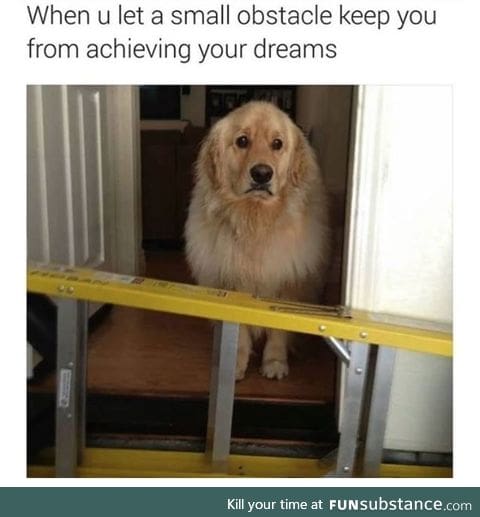 Go Doggo, achieve your dreams