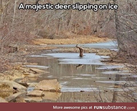 So majestic