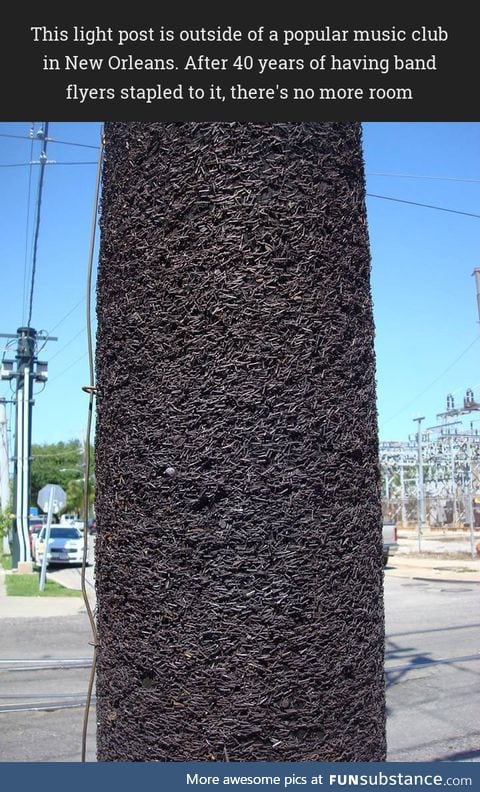 A light post full of staples