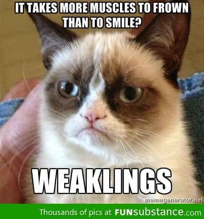 Grumpy Cat on muscles.