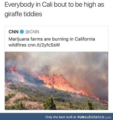 California let's get high!