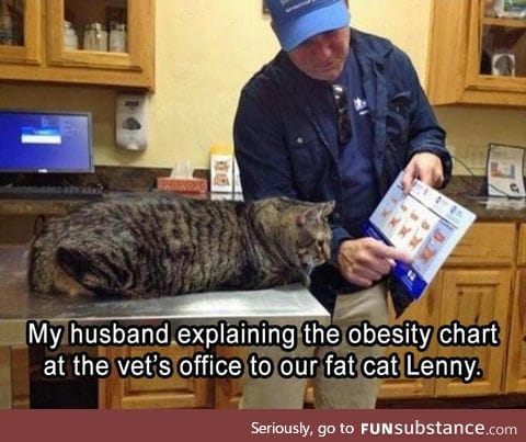 Cat: explain in cat language please.