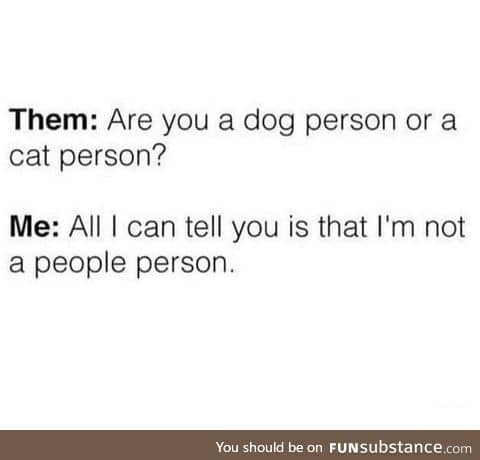 Dog or cat person