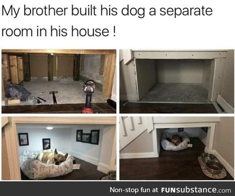 A comfy dog room