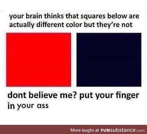 Colors