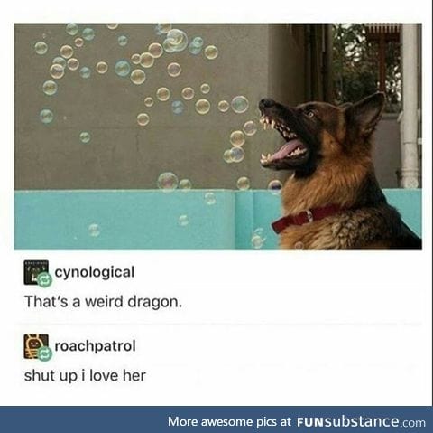 Borf