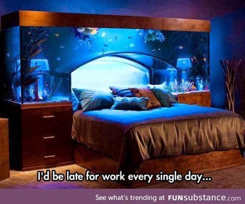 If only I had this bed at home
