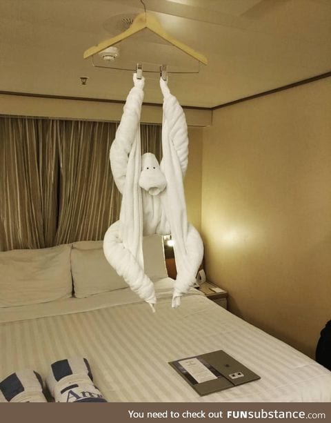 This towel art in a cruise ship cabin