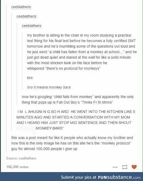 Monkey