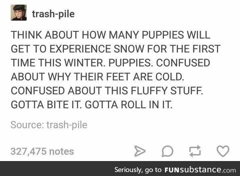 Think about the puppies