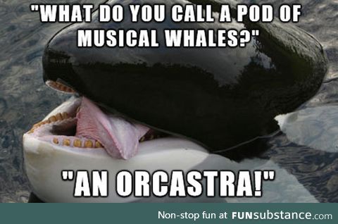 Whale puns