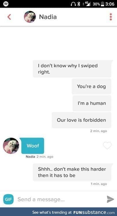 Nadia is one spicy doggo