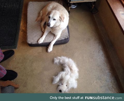 10 minutes of brushing!