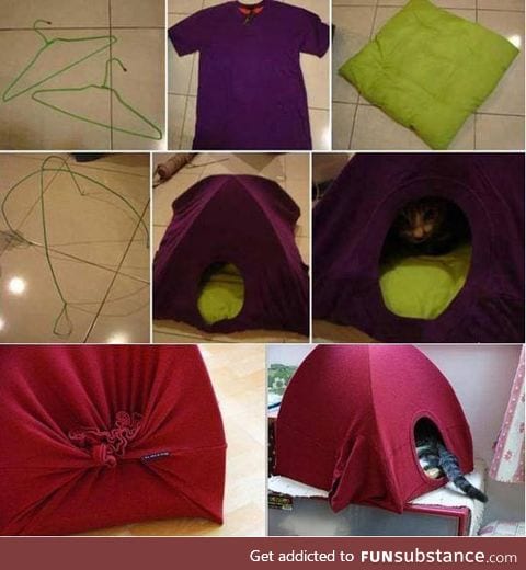 How to easily make a kitty house