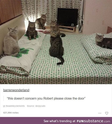 "We're kind of busy here."