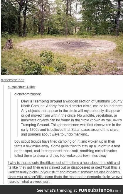 Thoughts?