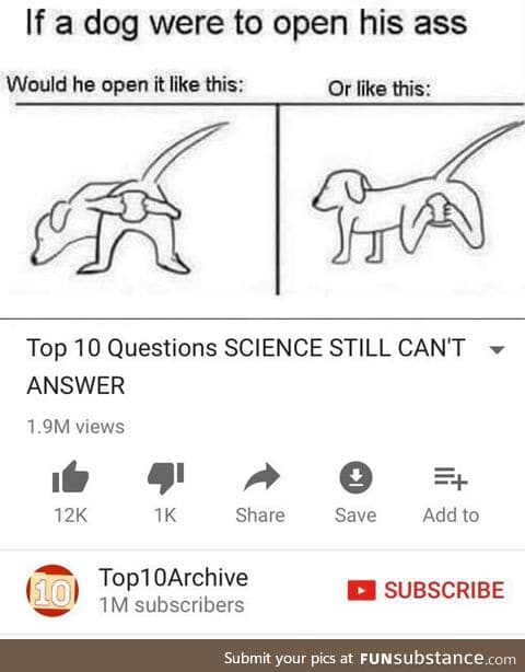 ***ing furries