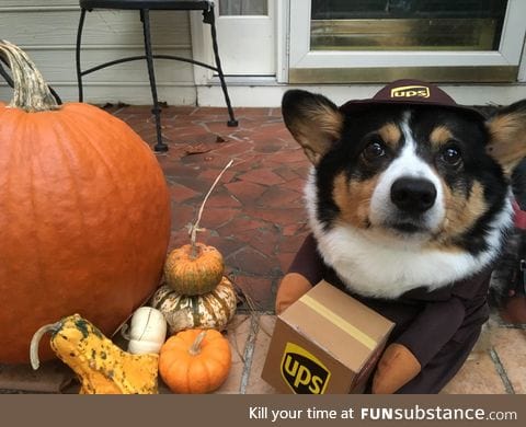 delivery boye doin a heckin good job this halloween