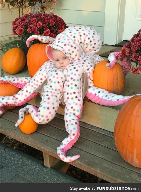 Octobaby