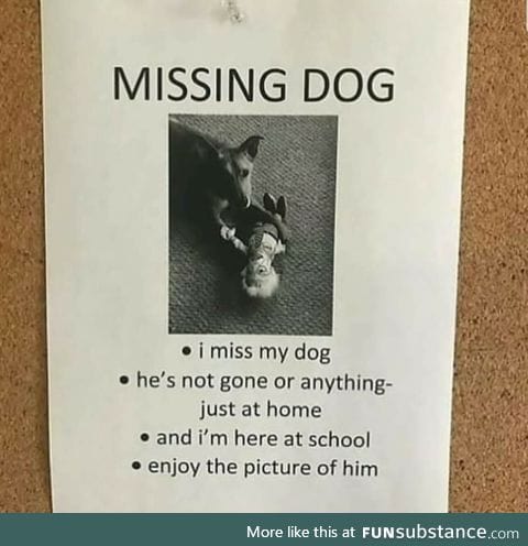 Dog people are crazy