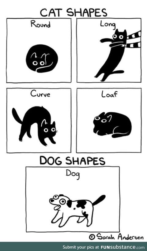 All shapes are beautiful