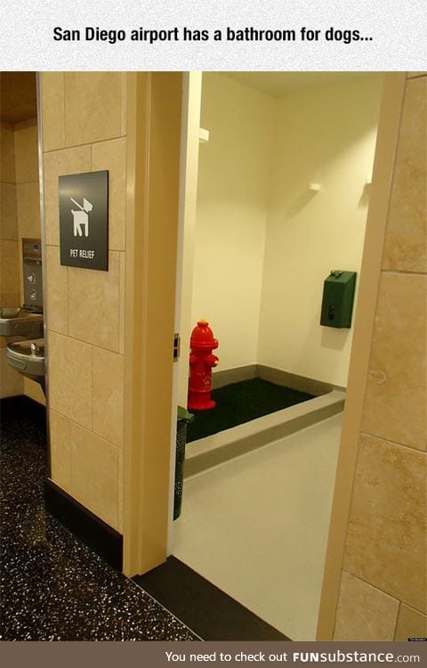 Bathroom for dogs