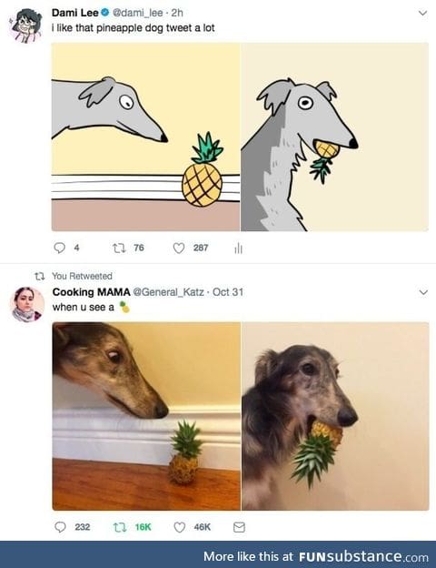 Pineapple dog tweet