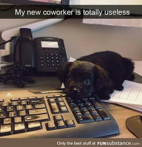 Cute coworker