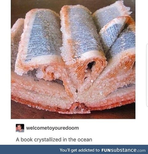 Crystallized book in the ocean