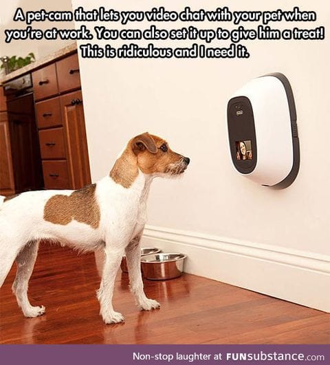 Well, the future is looking good