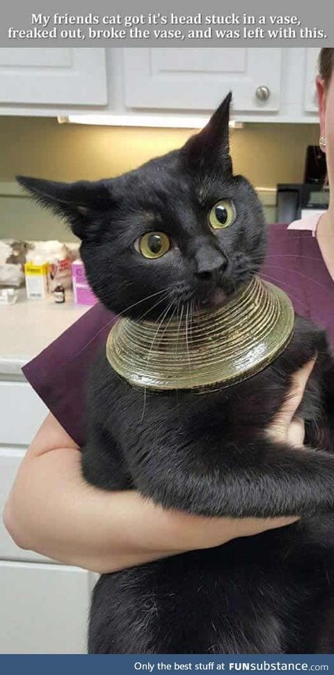 She's a pharaoh now