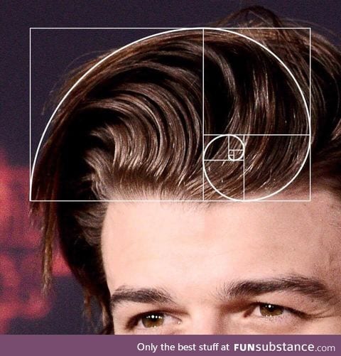 Mathematically perfect hair