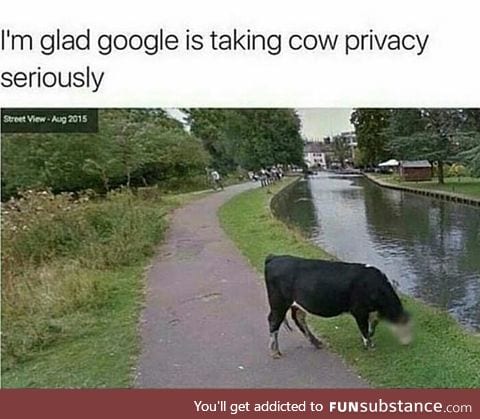 Animals have rights too