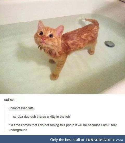 Bath time