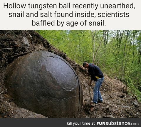 Immortal snail found In hollow tungsten ball