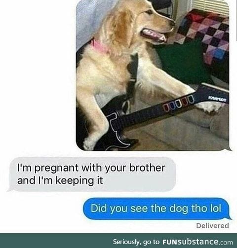Legend says dog became guitar god