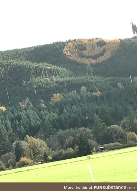 A happy hillside in Oregon
