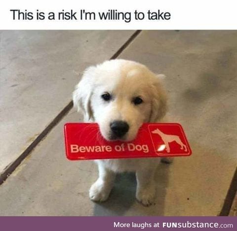 Beware of Dog
