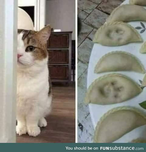 i didn't do anything, i swear