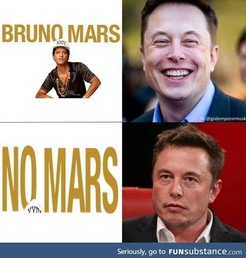 Did someone say more Elon Musk memes?