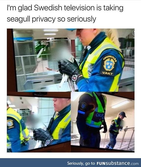 Would have kindnap that bird