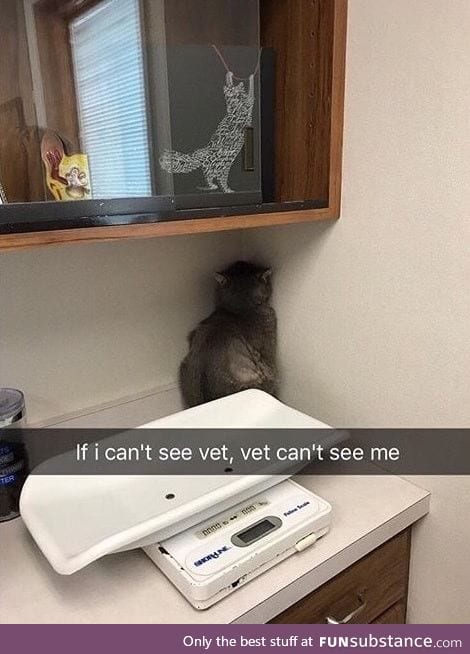 Poor kitty