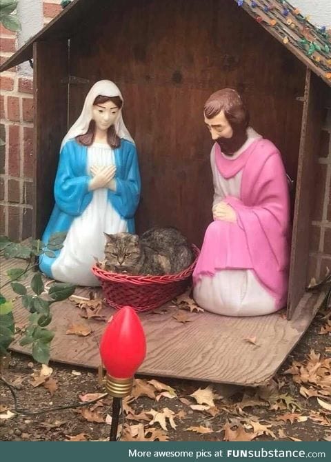 I don't recall baby Jesus having fur