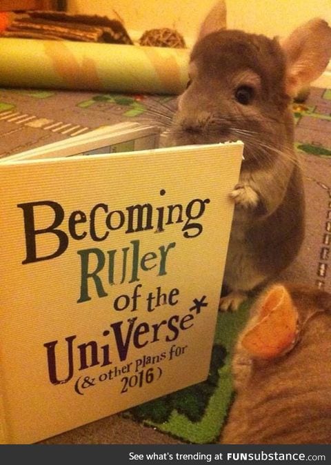 This Guy's Evil Plans